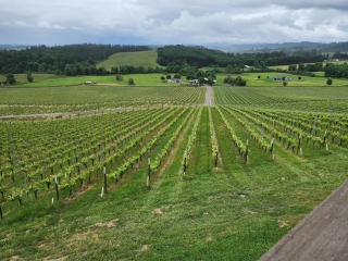 Electrical Contractors Salem OR Winery Project 2024 00024