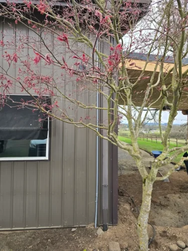 electrician-salem-oregon-creative-electric-3-30-2025-0015